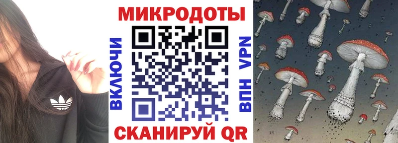 Купить где  Новоалександровск  Галлюциногенные грибы MAGIC MUSHROOMS 